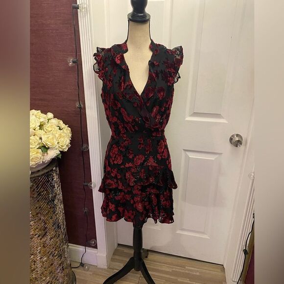 Parker dress size 6